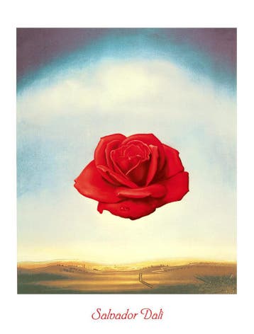 Kunstdruk Salvador Dali - Rose meditative 60x80cm, Verzenden, Nieuw