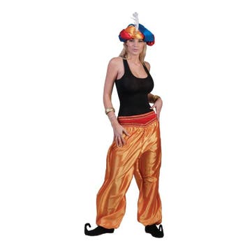 Gouden 1001 nacht broek voor dames - 1001 nacht kleding, Ophalen of Verzenden, Nieuw