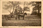 Nederland - Borger - Ansichtkaart (142) - 1900-1980, Gelopen