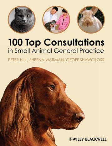 9781405169493 100 Top Consultants In Small Animal Prac, Verzenden, Zo goed als nieuw, Peter Hill