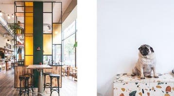 Boek: Little escapes. 208 slaaptips en eetadressen in, Verzenden, Nieuw