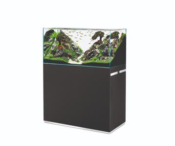 Oase ScaperLine 100 Set Zwart, Dieren en Toebehoren, Vissen | Aquaria en Toebehoren, Ophalen of Verzenden, Nieuw