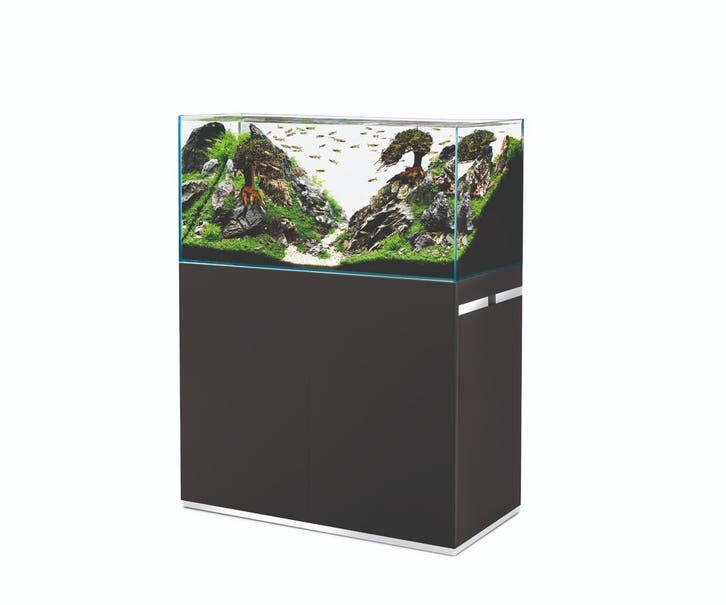 Oase ScaperLine 100 Set Zwart, Dieren en Toebehoren, Vissen | Aquaria en Toebehoren, Ophalen of Verzenden