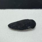 TARDA C2 VOLLEDIG EXEMPLAAR ongegroepeerde koolstofhoudende