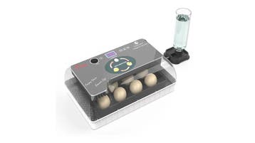 Volautomatische Broedmachine 12 Eieren + Gratis Broedeieren, Nieuw, Broedmachine