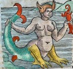 Conrad Lycosthenes - Prodigiorum ac Ostentorum Chronicon -