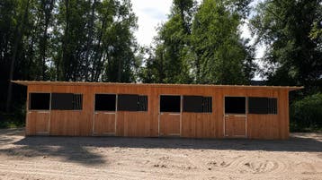 4 stallen lessenaarsdak !, 4 paarden of pony's of meer