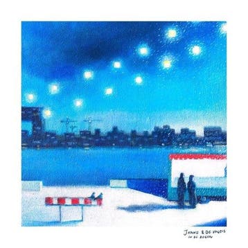 cd - janne schra &amp; de vogels - IN DE REGEN (nieuw), Verzenden, Zo goed als nieuw