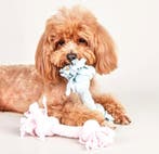 Honden knuffel en traktatie pakket roze, Verzenden, Nieuw