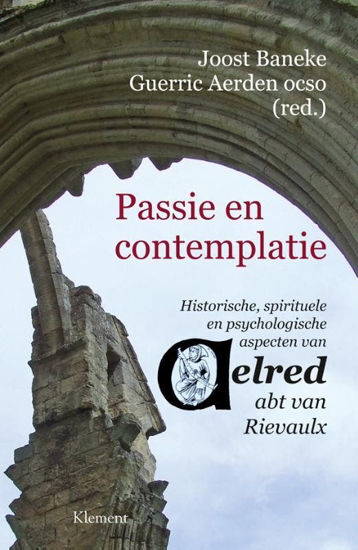 Passie en contemplatie 9789086871001, Boeken, Filosofie, Zo goed als nieuw, Verzenden