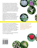 De tijd vooruit met star remedies en seven essentials, Verzenden, Gelezen, Micha Meuwessen