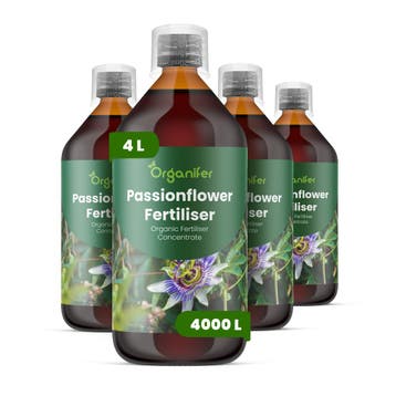 Passiebloem Vloeibare Meststof - Set 4x1 liter, Verzenden, Mest