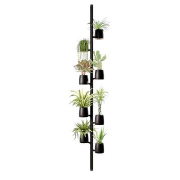 Mother Forest - 8 PlantPods, Ophalen of Verzenden, Nieuw