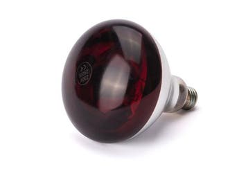 Warmtelamp | Warm Rood | 0.25kW | Ø125x170(h)mm HENDI, Verzenden, Nieuw in verpakking