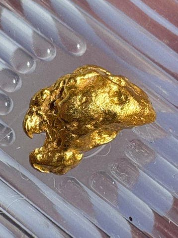 Goud Goud nugget- 0.33 g - (1)