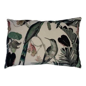 groot kussen fluweel exotisch honing vogel 40x60cm, Verzenden, Nieuw