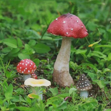Set van Decoratieve Paddenstoelen Beeldjes - Hars Tuindecora, Verzenden, Nieuw
