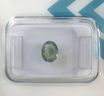 Zonder minimumprijs - 1 pcs Groen, Paars, Bruin Alexandriet, Nieuw