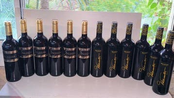 2015 Bodegas Valle de Monzón, Salegar (x6) & 2016 Bodegas, Nieuw
