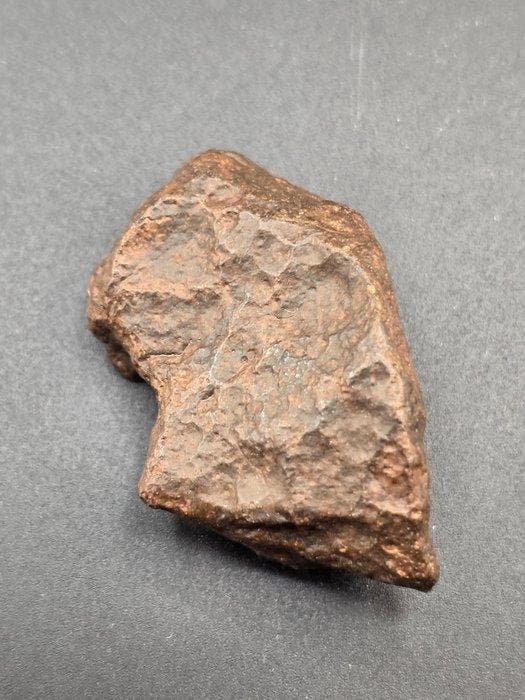 meteoriet Chondrite meteoriet - Hoogte: 5 cm- 49 g, Verzamelen, Mineralen en Fossielen