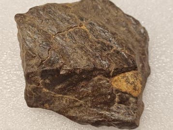 GEEN RESERVE!! Chondriet NWA 129.08G flowlijnen SUPERIEURE