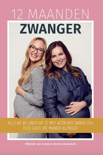 12 maanden zwanger - Willemijn van Lochem 9789082917802, Boeken, Zwangerschap en Opvoeding, Verzenden, Zo goed als nieuw, Willemijn van Lochem