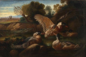 Giovanni Crivelli detto il Crivellino (XVII–XVIII),