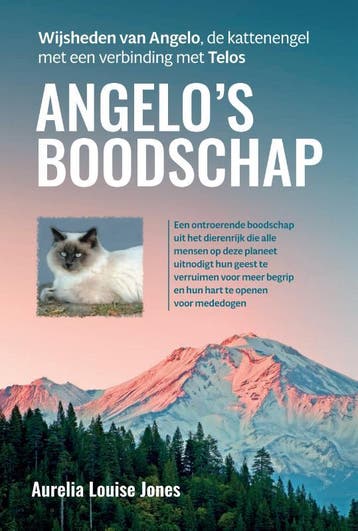 Angelo’S Boodschap | Aurelia Louise Jones | Nieuw, Ophalen of Verzenden, Nieuw, Aurelia Louise Jones