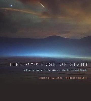 Life at the Edge of Sight - Scott Chimileski 9780674975910, Boeken, Verzenden, Gelezen, Scott Chimileski
