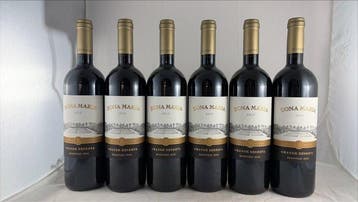 2019 Júlio Bastos, Dona Maria - Alentejo Grande Reserva, DOC, Nieuw