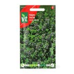 Tijm zaad | VT, Tuin en Terras, Bloembollen en Zaden, Verzenden
