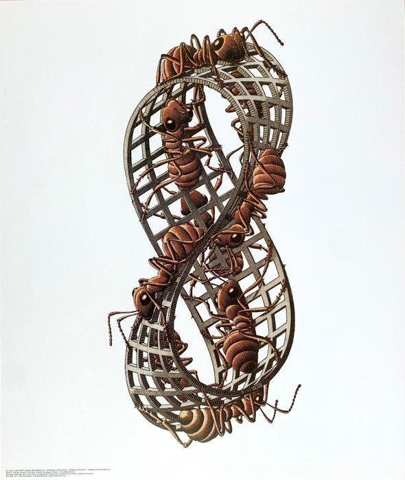 M.C. Escher (1898-1972) - – “Möbius Band II” – large, Antiek en Kunst, Curiosa en Brocante