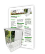 Wandelende Takken Schoolpakket, Dieren en Toebehoren, Insecten en Spinnen