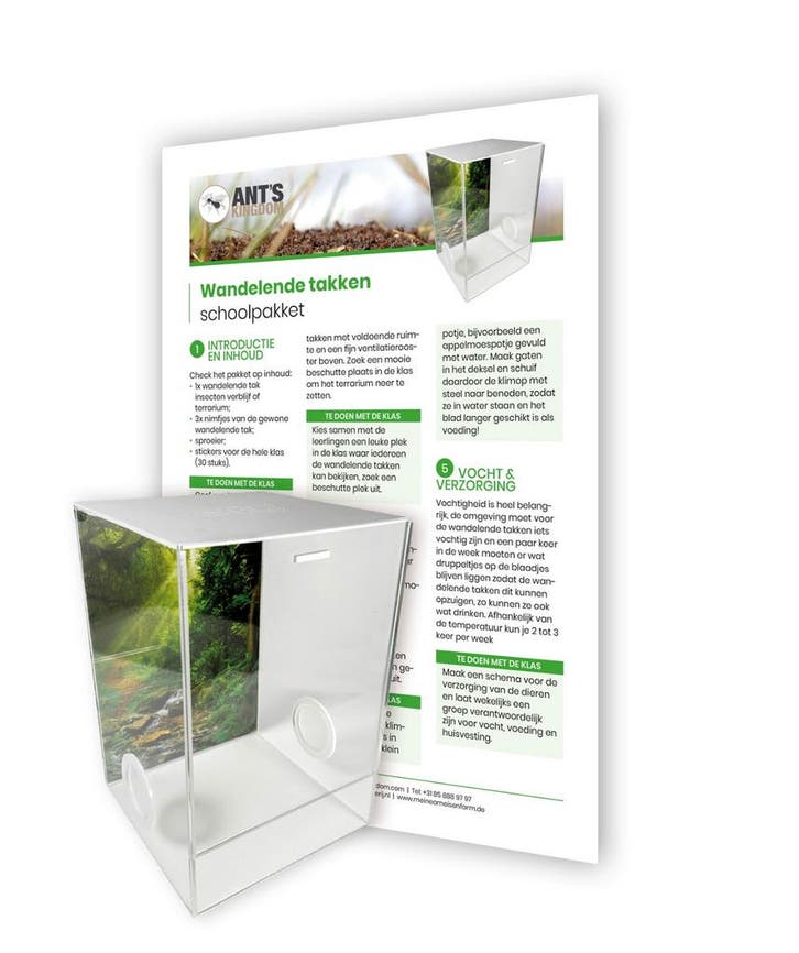 Wandelende Takken Schoolpakket, Dieren en Toebehoren, Insecten en Spinnen