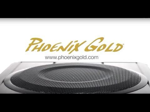 Phoenix Gold Z8150 200w actieve subwoofer, Auto diversen, Autospeakers, Nieuw, Verzenden