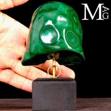 Moderne Wunderkammer en Design - Topkwaliteit