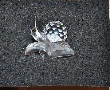 Swarovski - Figuur - Lumaca su foglia - Kristal