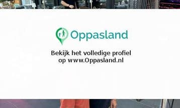 Alan zoekt een oppas in Heemstede voor 2 kinderen op woen..., Vacatures, Vacatures | Administratief en Secretarieel