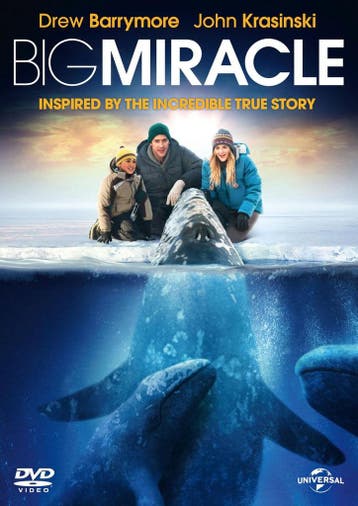 dvd film - Big Miracle - Big Miracle, Verzenden, Zo goed als nieuw