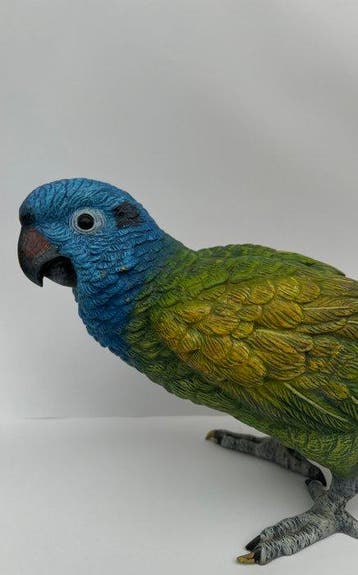 Figuur - Amazon Parrot - Koud geverfd brons, Antiek en Kunst