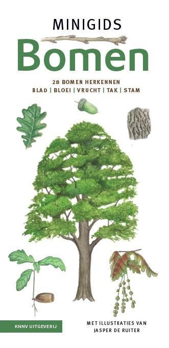 Minigids Bomen Set | Maureen Kemperink | Nieuw, Ophalen of Verzenden, Nieuw, Maureen Kemperink