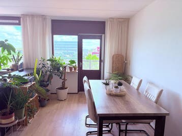 Te huur: Appartement Spaarndamseweg in Haarlem, Noord-Holland, Appartement, Haarlem