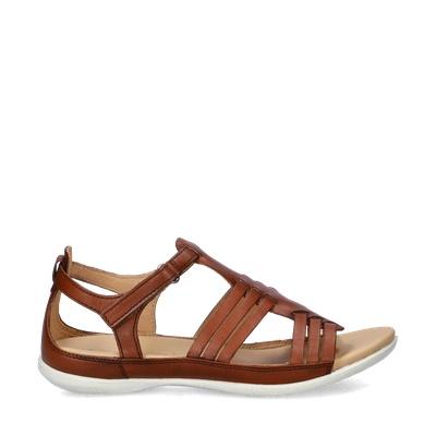 Ecco Flash sandalen voor dames in het Cognac, Kleding | Dames, Schoenen, Sandalen of Muiltjes, Overige kleuren, Nieuw, Verzenden
