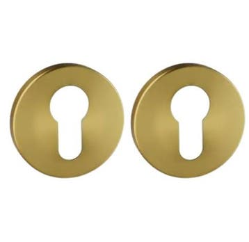 Set van twee pc-plaatjes ø52x6mm Permafix PVD goud, Verzenden, Nieuw