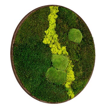 Vintlux Mosschilderij Rond 80 cm Donker Eiken - Uppsala Len, Nieuw