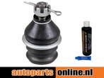Fuseekogel Hyundai Atos voorzijde, links of rechts, onder, Verzenden, Nieuw, Hyundai