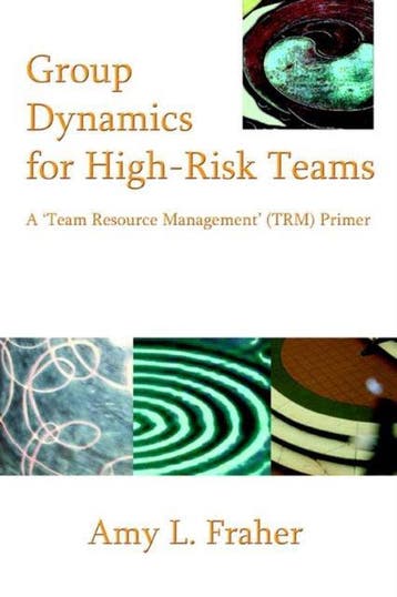 Group Dynamics for High-Risk Teams - Amy L Fraher, Verzenden, Gelezen, Amy L Fraher
