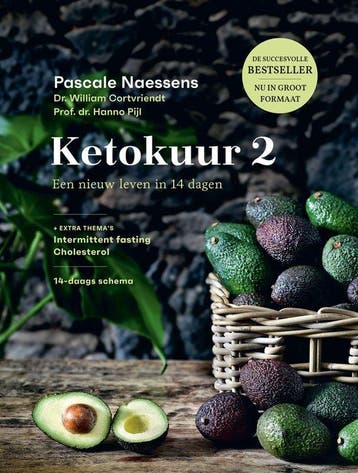 9789079967100 Ketokuur 2 - Nieuwe editie, Verzenden, Nieuw, Pascale Naessens