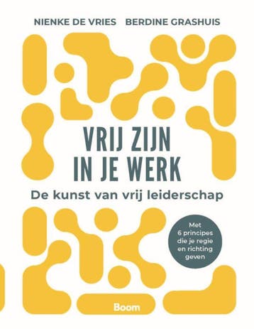 Vrij Zijn In Je Werk | Berdine Grashuis; Nienke Vries, Ophalen of Verzenden, Nieuw, Berdine Grashuis; Nienke Vries