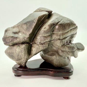 Steen, Hout - Japanse Suiseki  - dramatische